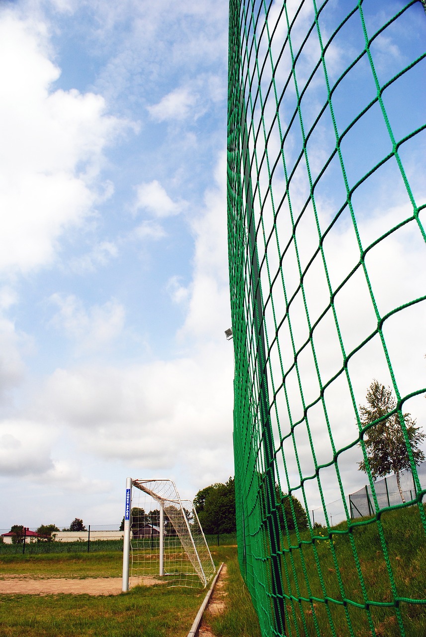 希罗利用自 希罗利用自