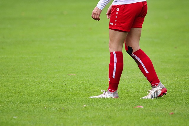 团队的荣誉 团队的荣誉