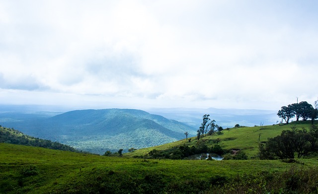 了申花的后 了申花的后